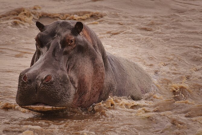 4 Days Tanzania Safari - Accessibility Details