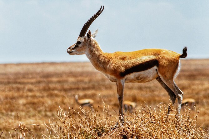 4 Days Tanzania Safari - Cancellation Policy