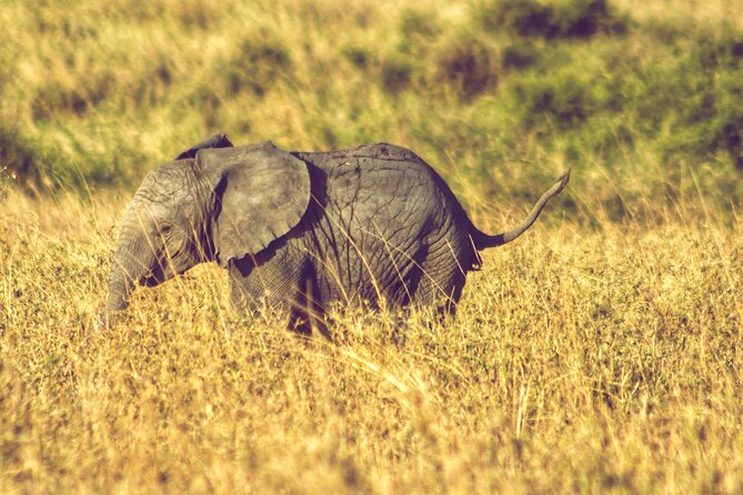 4 Days Tanzania Safari - Tour Itinerary