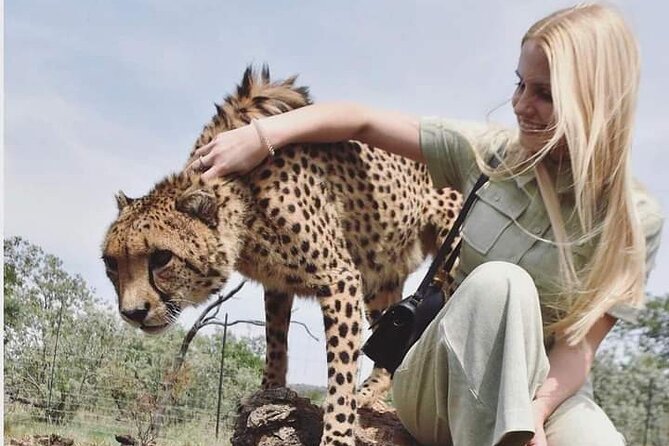 4 Days Tanzania Safari Tarangire, Serengeti and Ngorongoro Crater - Accessibility Information