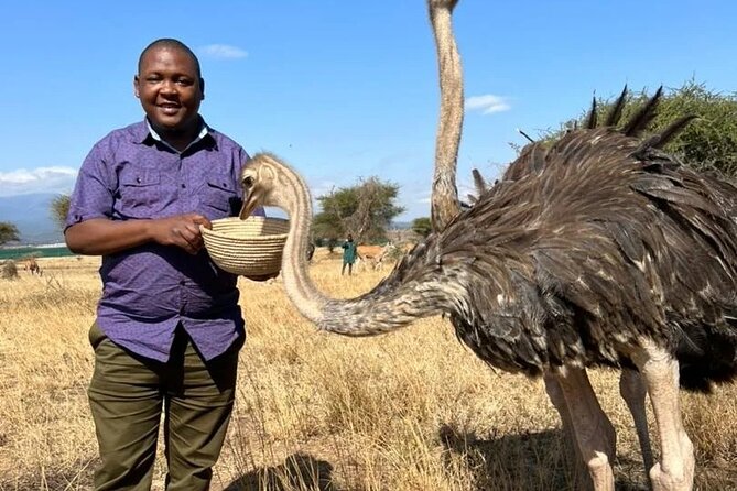 4 Days Tanzania Safari Tarangire, Serengeti and Ngorongoro Crater - Traveler Review Highlights
