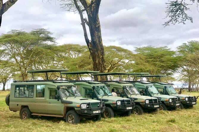 4 Days Tanzania Safari Tour - Schedule
