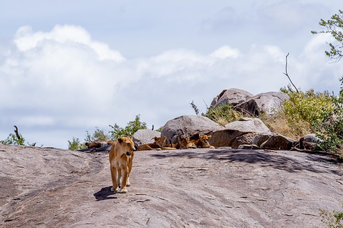 4 Days Tarangire , Ngorongoro ,Manyara and Lake Eyasi Village - Pickup Details