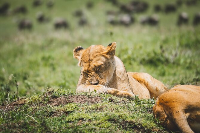 4 Days Tarangire, Serengeti and Ngorongoro Crater Camping Safari - Transportation and Logistics