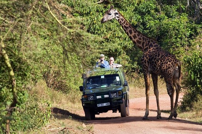 4 Days Tarangire Serengeti Ngorongoro Crater - Participant Considerations