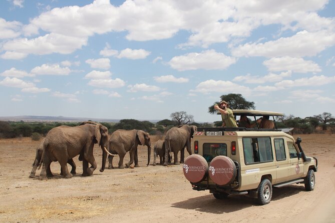 4 Days Tarangire Serengeti Ngorongoro Crater - Tarangire National Park