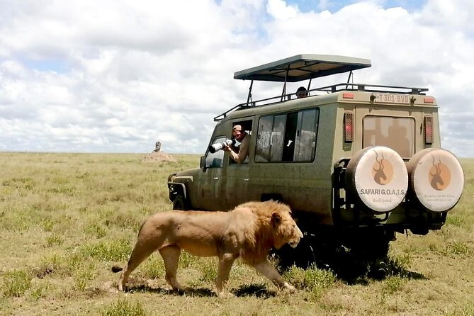 4 Days Tarangire, Serengeti & Ngorongoro Crater Joining Group - Recap