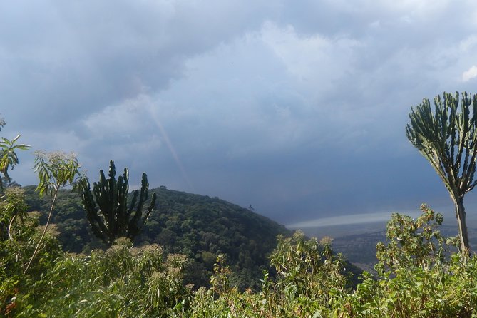 4 Days Tarangire, Serengeti & Ngorongoro - Additional Highlights