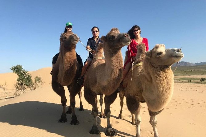 4 Days-The Best of Mongolia Collection Tour - Itinerary Details