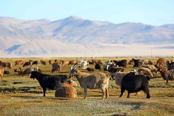 4 Days Tour: Central Mongolia - Erdene Zuu Monastery and Kharakhorum