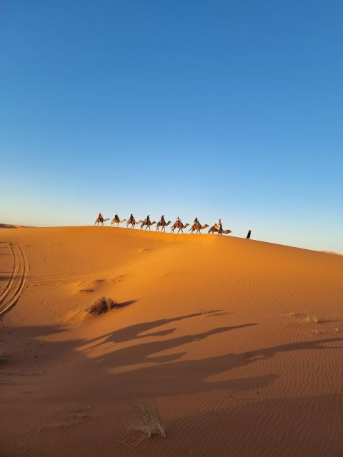 4 Days Tour From Marrakech to Merzouga Sahara Desert - Accommodation and Meals
