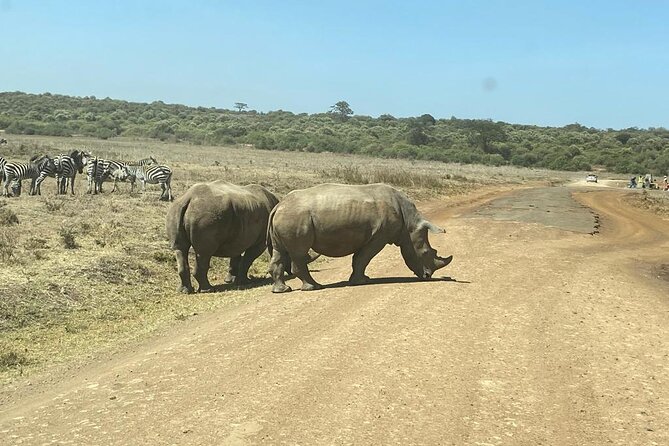 4 Days Tour Landcruiser in Masai Mara and Lake Nakuru - Additional Information