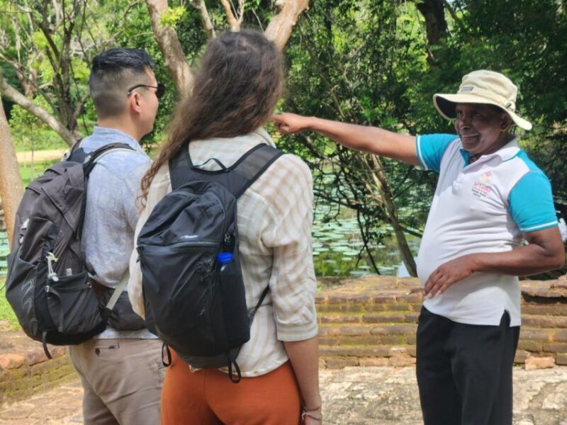 4 Days Tour of Sigiriya Kandy Ella With Udawalawe Safari - Included Services