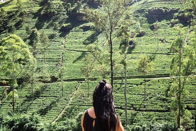 4 Days Tour To Kandy, Nuwara Eliya, Dambulla & Anuradhapura From Colombo - Cancellation and Reviews