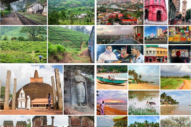 4 Days Tour To Kandy, Nuwara Eliya, Dambulla & Polonnaruwa - Included Amenities