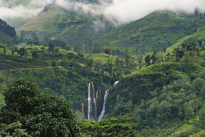 4 Days Tour To Kandy, Nuwara Eliya, Dambulla & Polonnaruwa - Infant Seating and Venue Policies