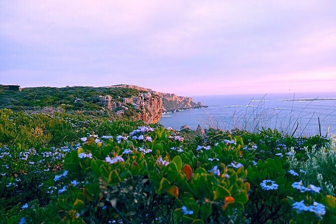 4 Days Tour to Pink Lake Kalbarri, Margaret River and South West - In Summary