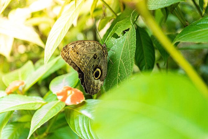 4 Days Tour to Tambopata National Reserve - Itinerary Highlights