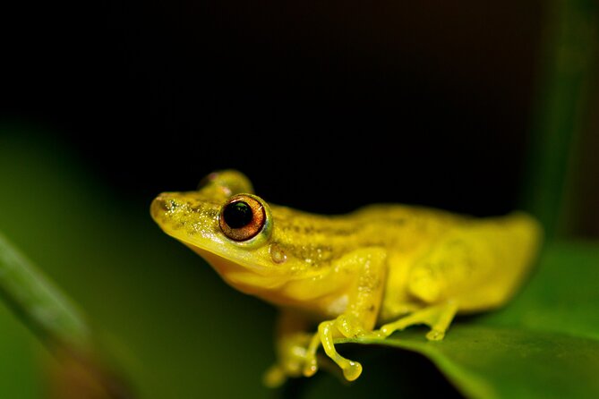 4 Days Tour to Tambopata National Reserve - Arrival and Jungle Exploration