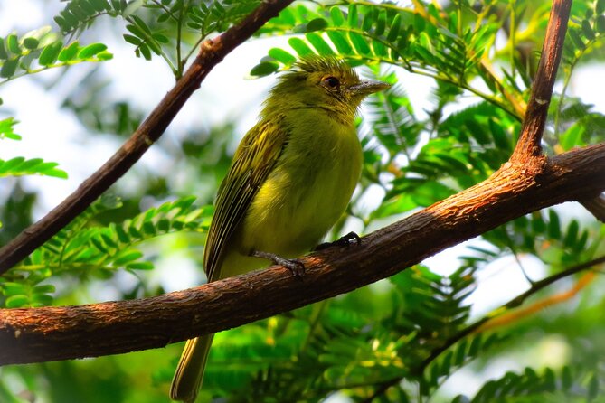 4 Days Tour to Tambopata National Reserve - Parrot Clay Lick and Cultural Experience