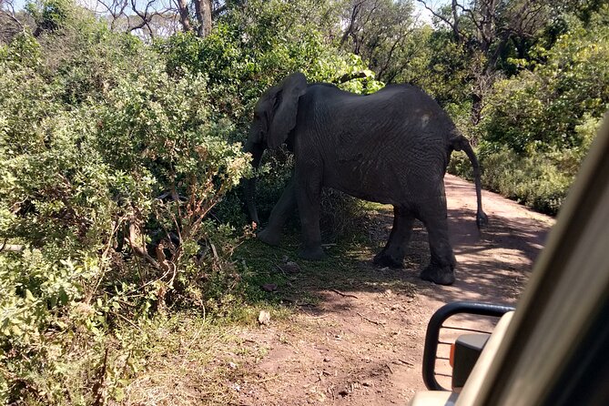4-Days Tour to Tanzania National Parks - Meal Inclusions