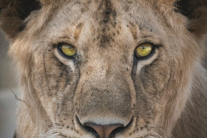 4-Days Tour to Tanzania National Parks - Pickup Options