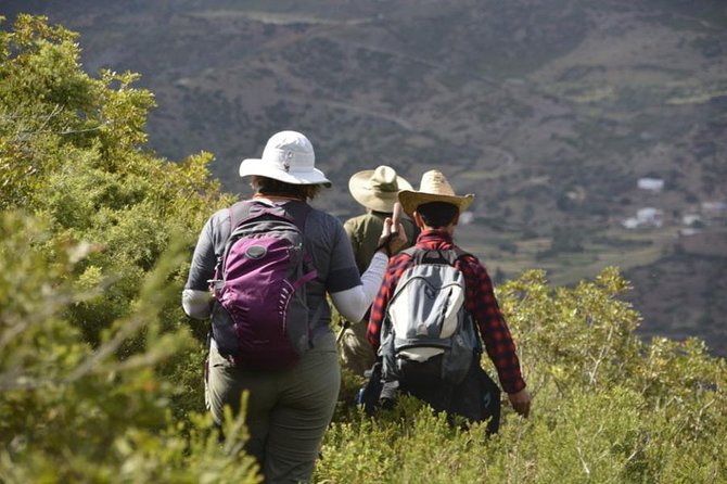 4 Days Trekking in the Rif Mountains - Pricing and Cancellation Policy