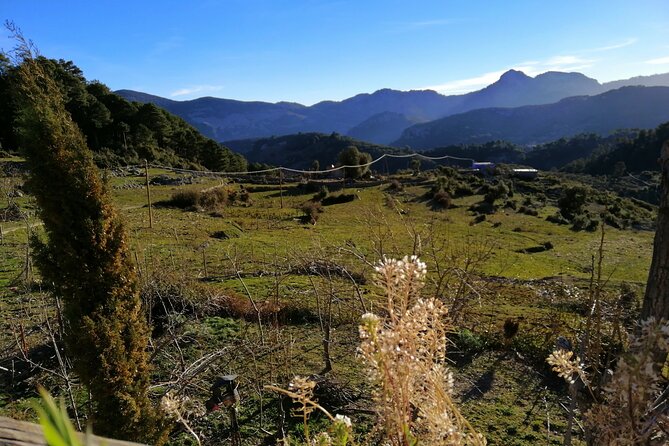 4 Days Trekking in the Rif Mountains - Highlights of the Trekking Route