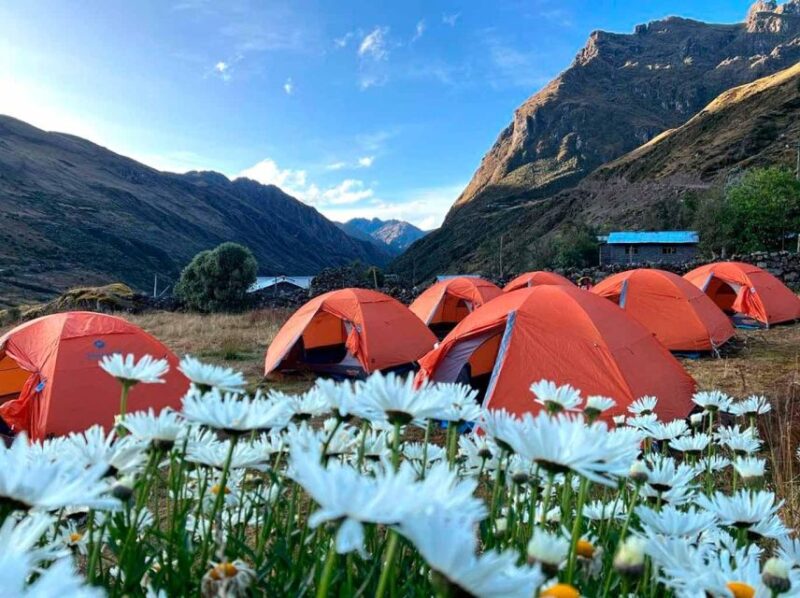 4 Days Trekking Through the Lares Valley + Machu Picchu - Suitability and Restrictions