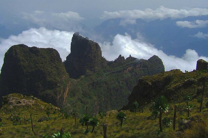 4 Days Trekking to Simien Mountain National Park - Traveler Group Size