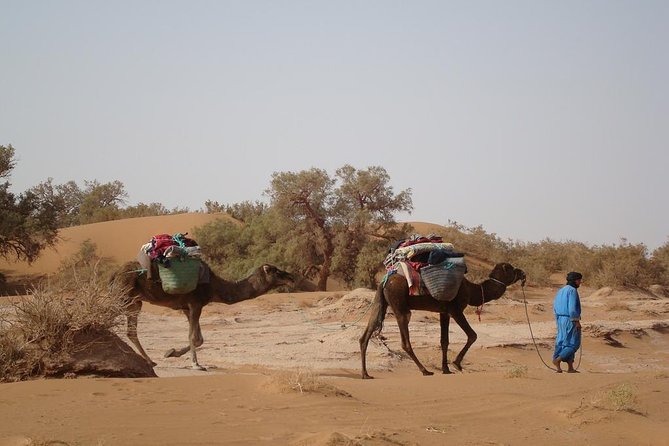 4 Days Trekking To The Heart Of Desert - Key Points