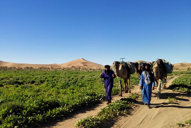 4 Days Trekking To The Heart Of Desert - Preparing for the Adventure