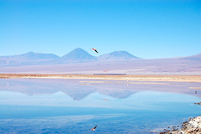 4-Days Trip to Discover San Pedro De Atacama - Itinerary and Activities