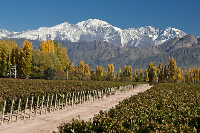 4-Days Trip to Mendoza and The Andes - Accommodation and Transportation Arrangements