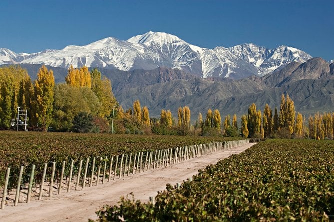 4-Days Trip to Mendoza and The Andes - Preparing for the Excursion