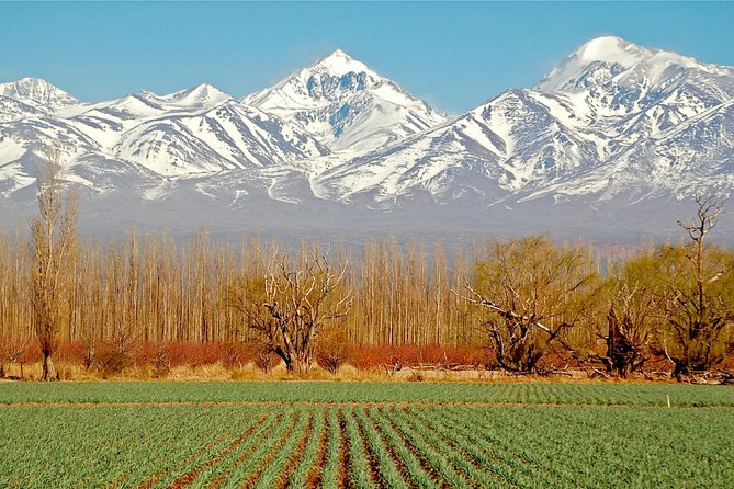 4-Days Trip to Mendoza and The Andes - Indulging in Mendozas Culinary Delights