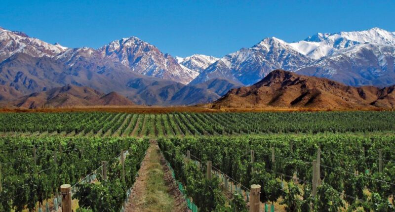 4 - Days Trip to Mendoza & The Andes - Itinerary Highlights