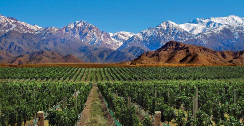 4 - Days Trip to Mendoza & The Andes - Arrival & Transfer