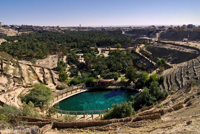 4 Days Tunisia Discovery Private Tour - Pricing and Reviews