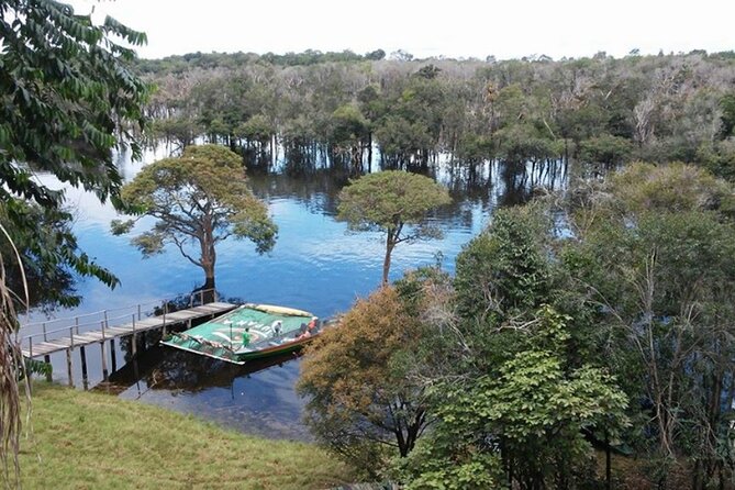 4-Days Unique Experience at Amazon Lodge, Immersion on a Jungle Adventure - Key Points