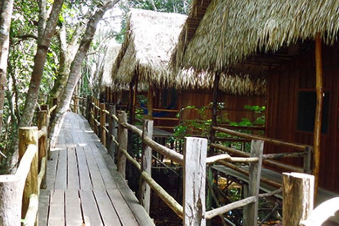 4-Days Unique Experience at Amazon Lodge, Immersion on a Jungle Adventure - Meeting and Pickup