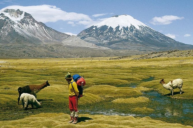 4-Days Unique Experience at the Chilean High Plateau - Visiting Archaeological Sites