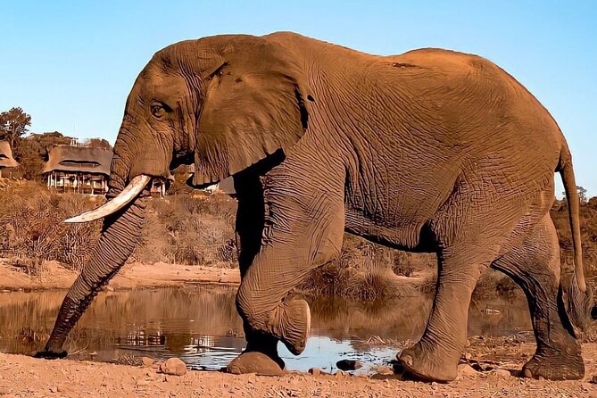 4 Days Victoria Falls Safari Tour & Chobe National Park Game Drive - Optional Activities