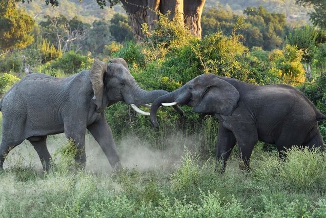 4 Days Victoria Falls Safari Tour & Chobe National Park Game Drive - Booking Information