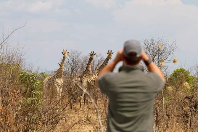 4 Days Victoria Falls Zimbabwe With Chobe National Park Safari Botswana and Livingstone Zambia - Negative Traveler Feedback