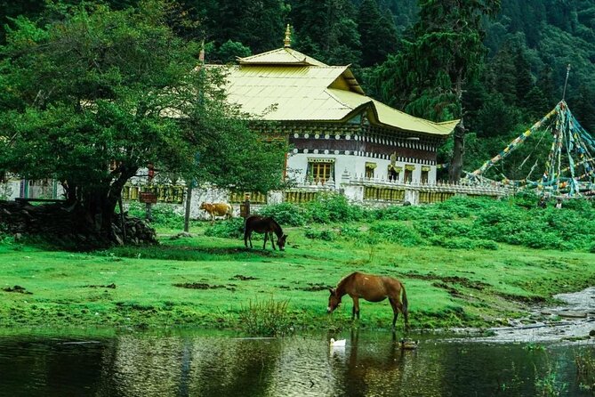 4 Days Yubeng Trekking Tour - Maximum Travelers and Pricing