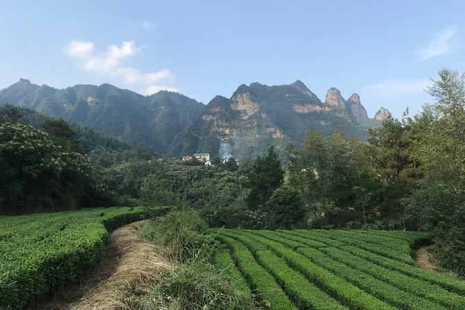 4 Days Zhangjiajie Experience Tour(Classical Boutique Hotel) - Pickup and Meeting Information