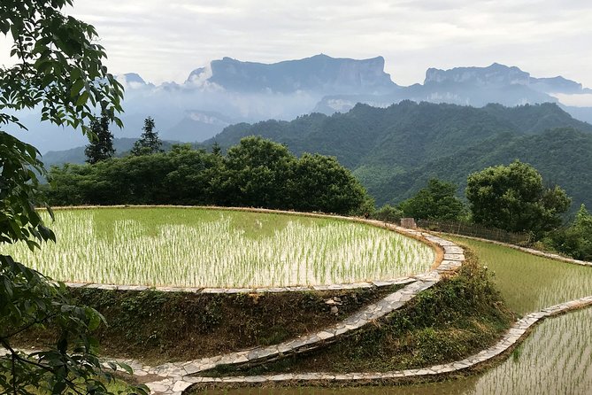 4 Days Zhangjiajie Highlights With Rice Terrace View (Hand-Picked Featured Inn) - Itinerary Inclusions
