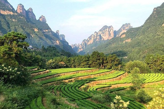 4 Days Zhangjiajie Highlights With Rice Terrace View (Hand-Picked Featured Inn) - Optional Activities and Costs