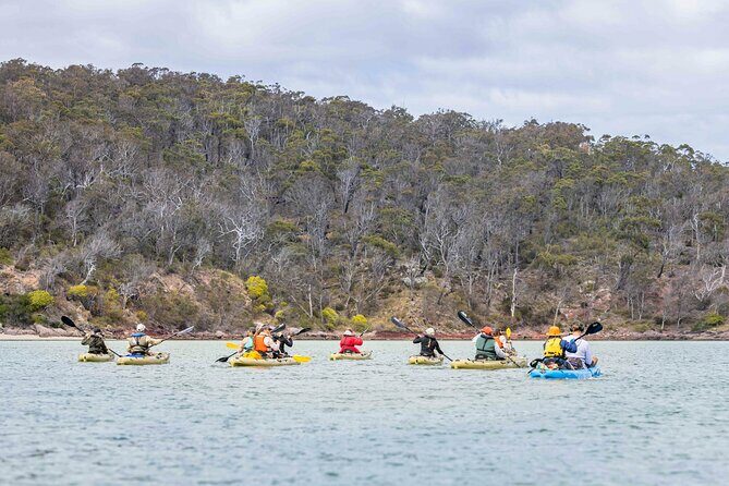 4 Hour Aboriginal Culture Tour Kayaking Pambula River - Why This Tour Offers Real Value
